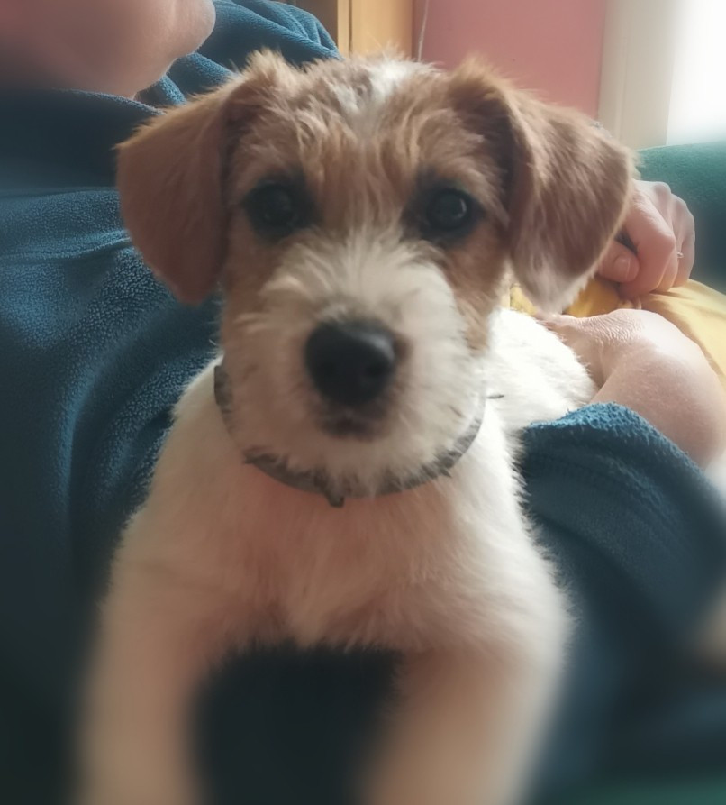 VENISE du Domaine De Léon De La Seille