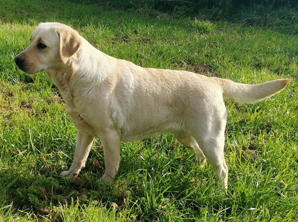 UKA Des Terres De Beaulieu